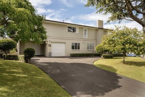 Photo of property in 75 Fifth Avenue, Tauranga, 3110