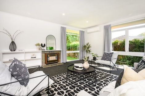 Photo of property in 237 Victoria Avenue, Hokowhitu, Palmerston North, 4410