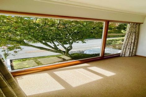 Photo of property in 88 Carrington Street, Lower Vogeltown, New Plymouth, 4310