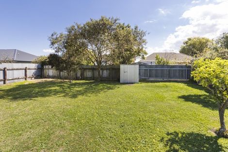 Photo of property in 28 Humber Street, Roslyn, Palmerston North, 4414