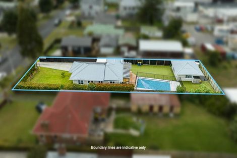 Photo of property in 13 Peachgrove Road, Te Atatu Peninsula, Auckland, 0610