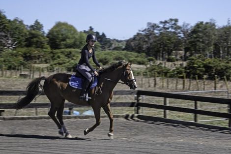 Photo of property in 345 Mill Road, Takanini, Manurewa, 2576
