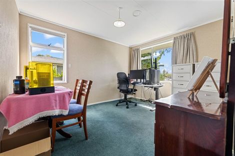 Photo of property in 12 Waipapa Road, Turangi, 3334