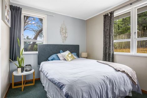 Photo of property in 21 Desert Gold Street, Ascot Park, Porirua, 5024