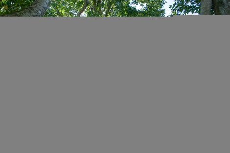 Photo of property in 429 Morgan Road, Matamata, 3472