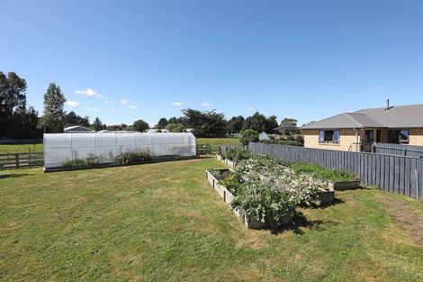 Photo of property in 9 Mill Street, Marton, 4710