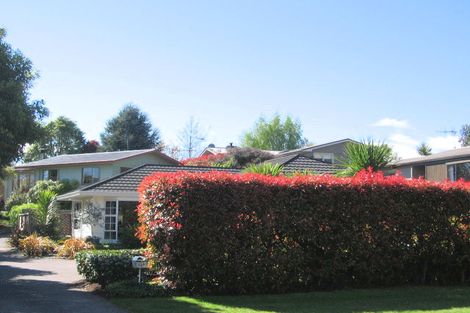 Photo of property in 34 Henry Hill Road, Taupo, 3330