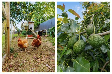 Photo of property in 8 Lochinvar Place, Hairini, Tauranga, 3112