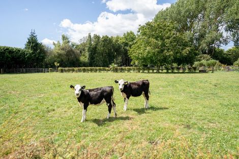 Photo of property in 4/193 Racecourse Road, Cambridge, 3493