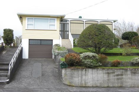 Photo of property in 19 Essex Street, Vogeltown, New Plymouth, 4310