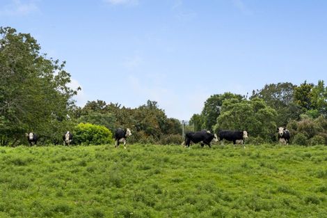 Photo of property in 579 Belk Road, Omanawa, Tauranga, 3171