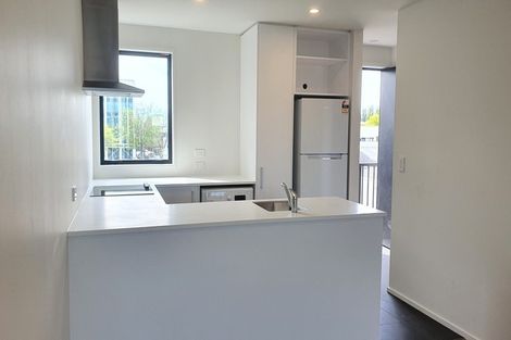 Photo of property in 118 Salisbury Street, Ashhurst, 4810