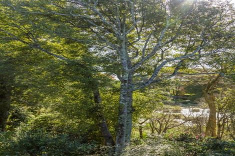 Photo of property in 111 Ngarara Road, Waikanae, 5036