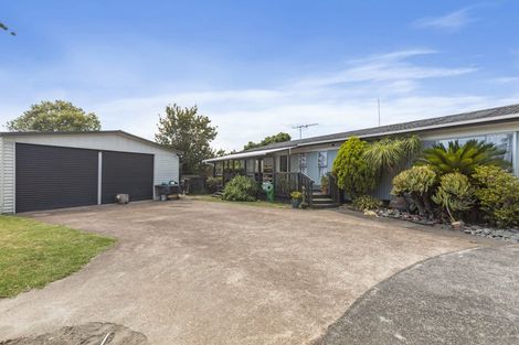 Photo of property in 9 Pinedale Place, Henderson, Auckland, 0610