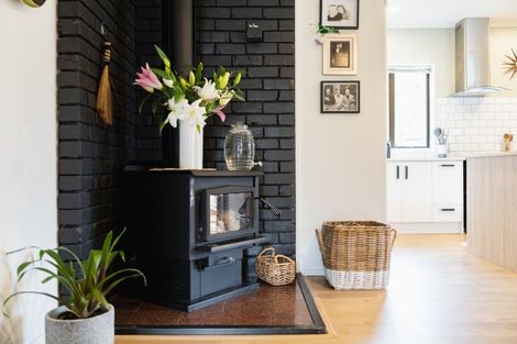 Photo of property in 162 Somerville Street, Waverley, Dunedin, 9013