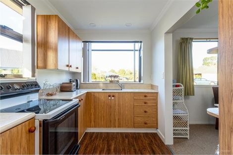 Photo of property in 11 Williamson Place, Geraldine, 7930