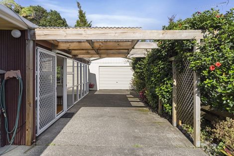 Photo of property in 20 Elizabeth Street, Orewa, 0931