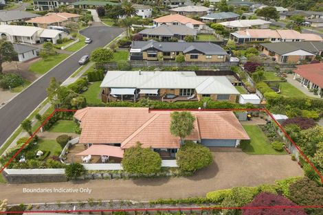 Photo of property in 10 Rochester Place, Bethlehem, Tauranga, 3110