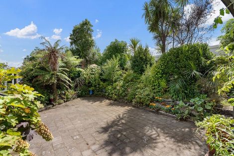 Photo of property in 161 Vista Paku, Pauanui, Hikuai, 3579