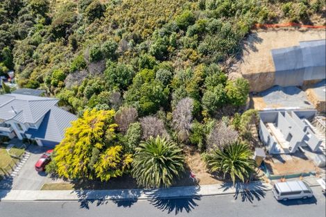 Photo of property in 45 Spyglass Lane, Whitby, Porirua, 5024