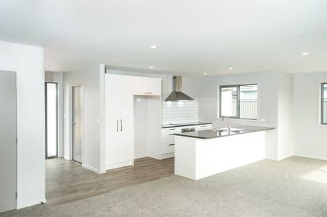 Photo of property in 9 Electric Place, Cromwell, 9310