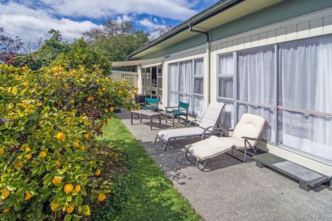 Photo of property in 38 French Street, Lansdowne, Masterton, 5810