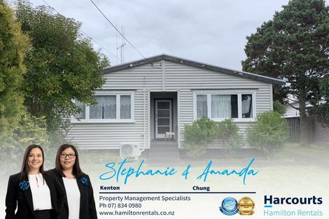 Photo of property in 193a Dey Street, Hamilton East, Hamilton, 3216