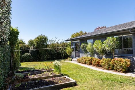 Photo of property in 19 Chambers Street, Havelock North, 4130