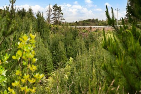 Photo of property in 80 Cameron Town Road, Pukekohe, 2678