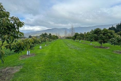 Photo of property in 77 Patons Rock Road, Patons Rock, Takaka, 7182