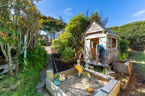 Photo of property in 35 Panmure Avenue, Calton Hill, Dunedin, 9012