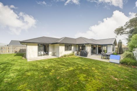 Photo of property in 96 Pharazyn Street, Feilding, 4702