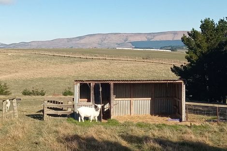 Photo of property in 86 Totara Island Road, Clifton, Balclutha, 9273