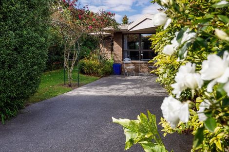 Photo of property in 16 Springswood Grove, Springlands, Blenheim, 7201
