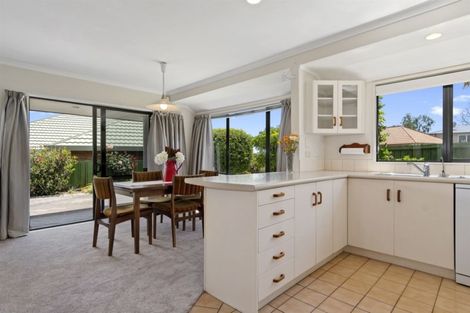Photo of property in 169c Maungatapu Road, Maungatapu, Tauranga, 3112