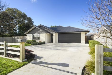 Photo of property in 96 Pharazyn Street, Feilding, 4702