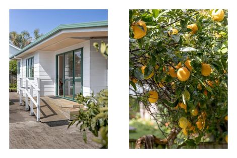 Photo of property in 48c Campbell Road, Mount Maunganui, 3116