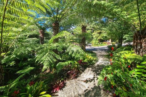 Photo of property in 395b Driving Creek Road, Coromandel, 3506