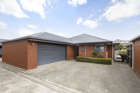 Photo of property in 113a Charles Street, Blenheim, 7201
