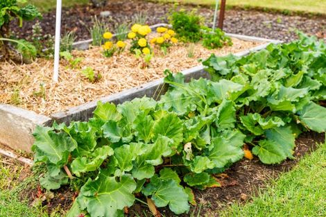 Photo of property in 8 George Point Road, Onerahi, Whangarei, 0110