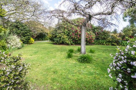 Photo of property in 38 French Street, Lansdowne, Masterton, 5810