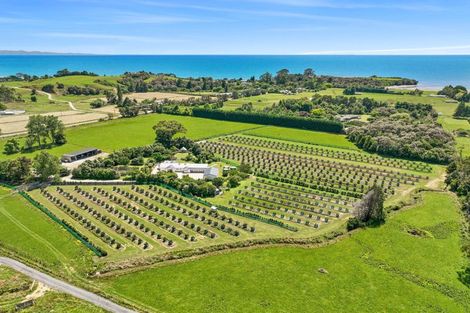 Photo of property in 120 Patons Rock Road, Patons Rock, Takaka, 7182