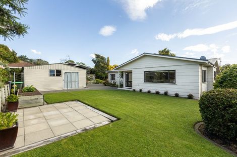 Photo of property in 4 Padfield Place, Havelock North, 4130