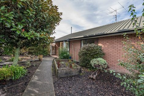 Photo of property in 38 Maple Crescent, Richmond, 7020