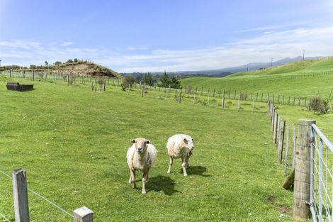 Photo of property in 489a Barrett Road, Omata, New Plymouth, 4374