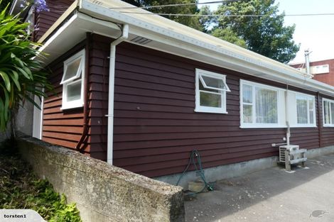 Photo of property in 24f1 Crieff Street, Northland, Wellington, 6012