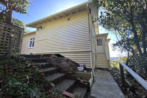 Photo of property in 100 Mortimer Terrace, Brooklyn, Wellington, 6021