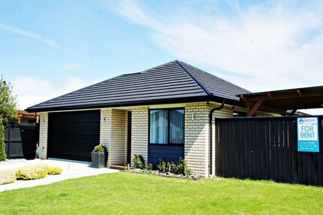 Photo of property in 17 Chert Street, Rolleston, 7614