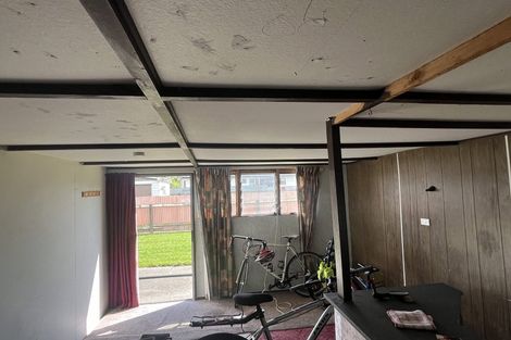 Photo of property in 241 Botanical Road, Takaro, Palmerston North, 4412