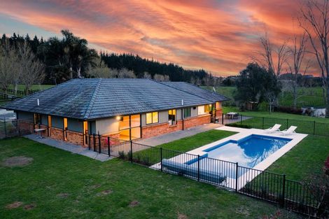 Photo of property in 255 Ararimu Valley Road, Helensville, Waimauku, 0882